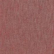 Calyon (J855F-04)